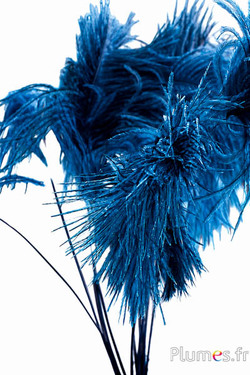 Panicule struisvogel - 35-40 cm - petrol-natuurlijk grijs